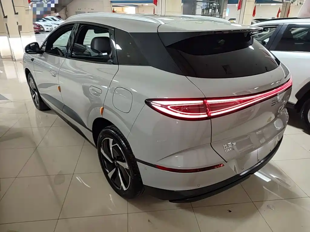 BYD Sealion 06 — миниатюра 5
