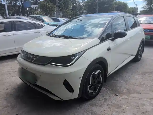 2025 BYD Dolphin