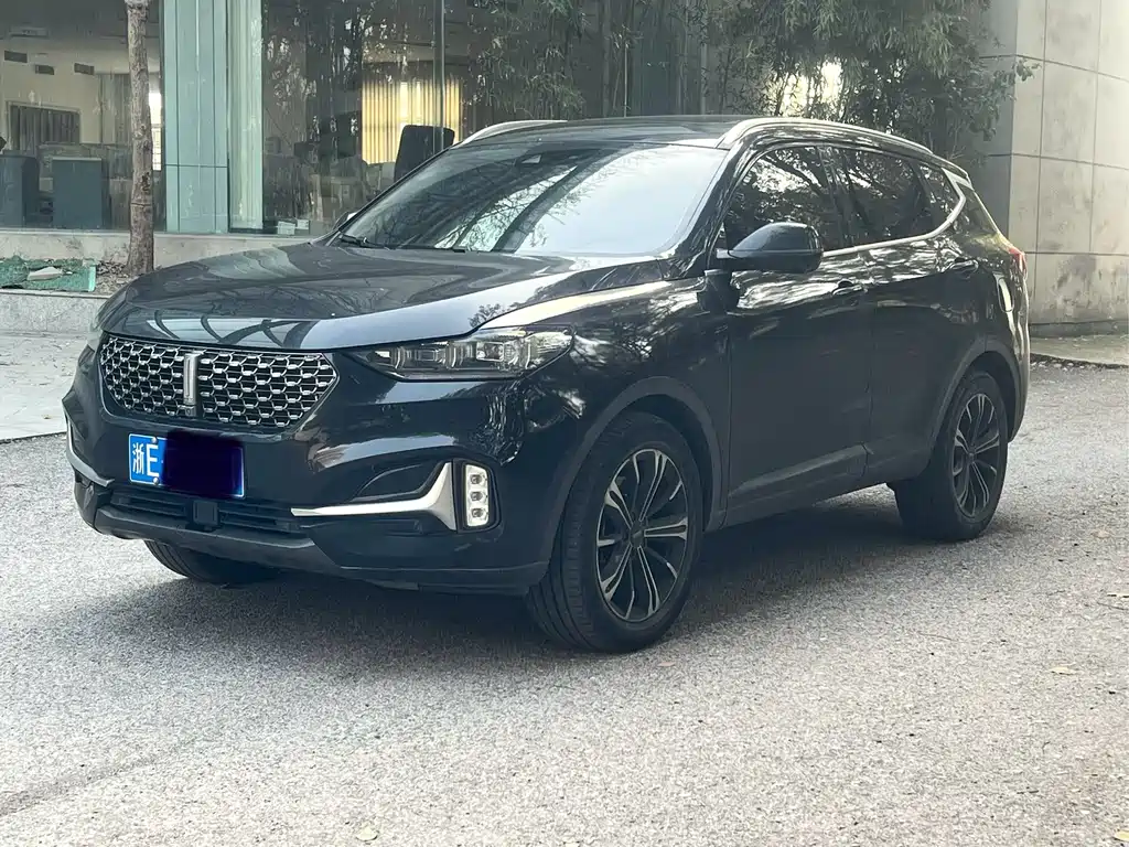 Wey Wey VV6 2020
