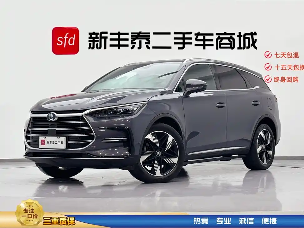 2023 BYD Tang - zdjęcie 1 z 33