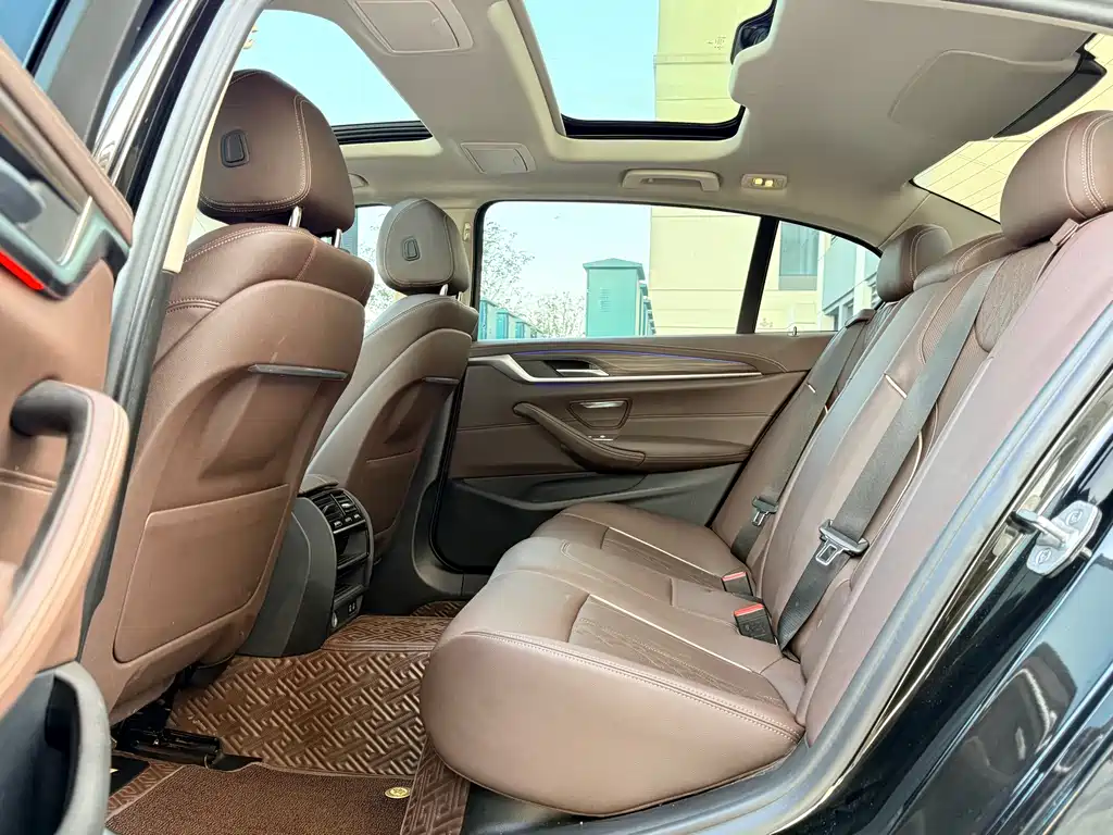 BMW 5 Series 5 2021 530Li Lead Luxury