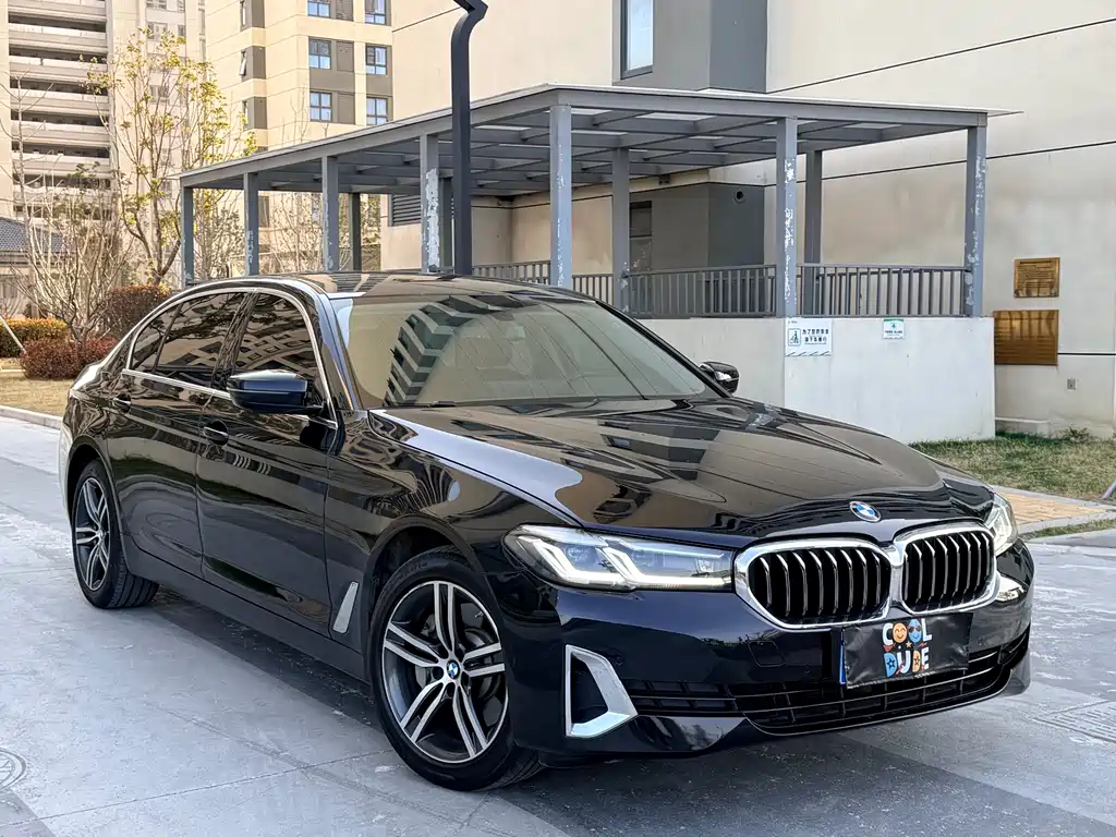 BMW 5 Series 5 2021 530Li Lead Luxury
