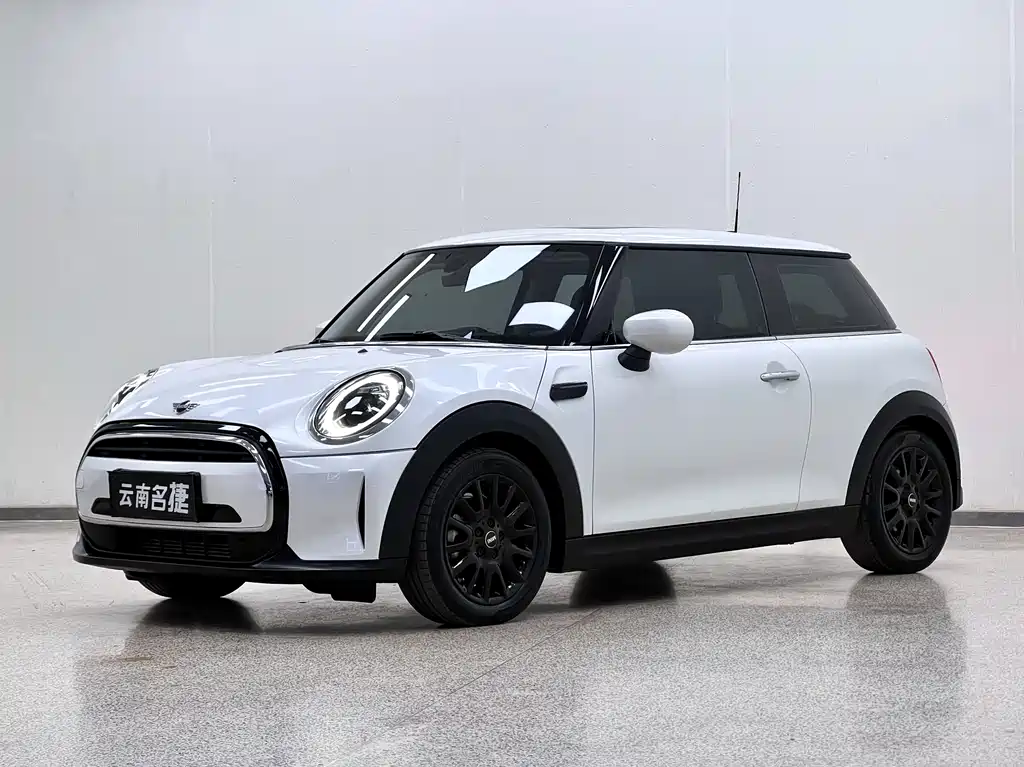 Mini Mini 2024