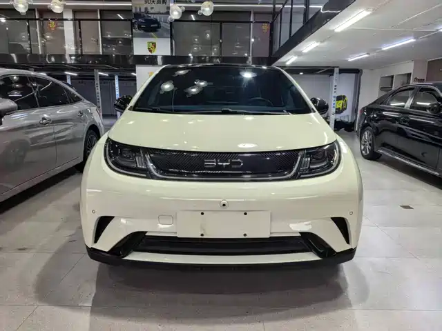 2024 BYD Dolphin