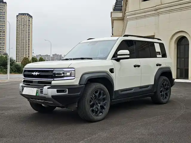 FANG CHENG BAO LEOPARD 5 2024