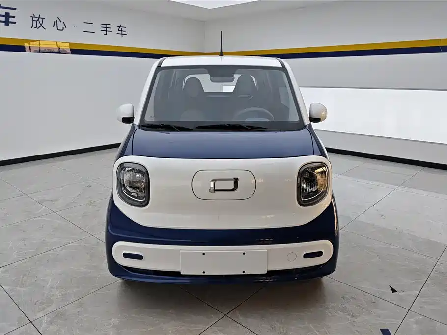 BESTUNE PENTIUM PONY