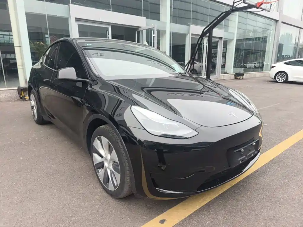 Tesla Model Y — миниатюра 4
