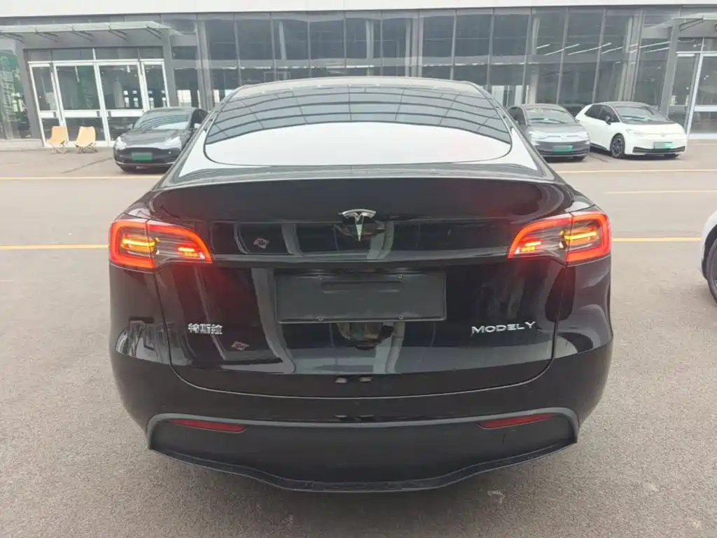 Tesla Model Y — миниатюра 6
