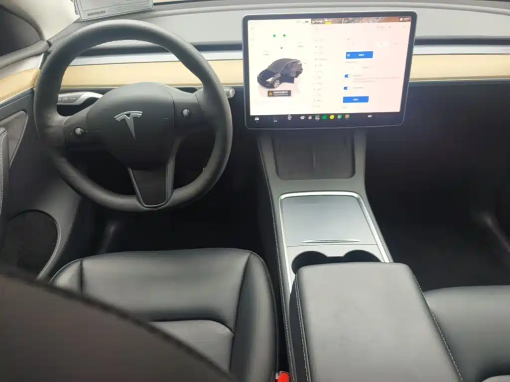 Tesla Model Y — миниатюра 10