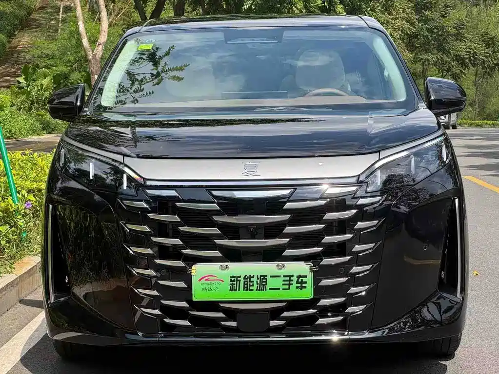 BYD Xia — миниатюра 2