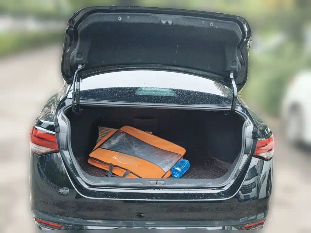 Nissan Sylphy — миниатюра 20