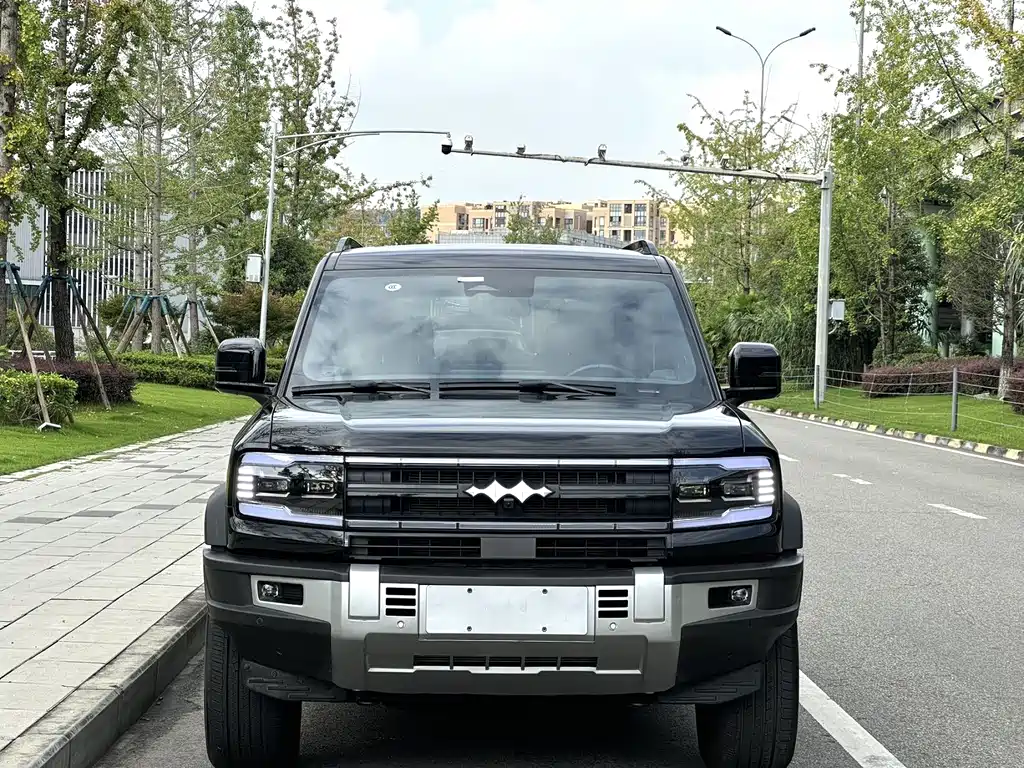 FANG CHENG BAO LEOPARD 5