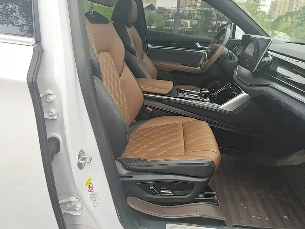 BYD Tang New Energy — миниатюра 25
