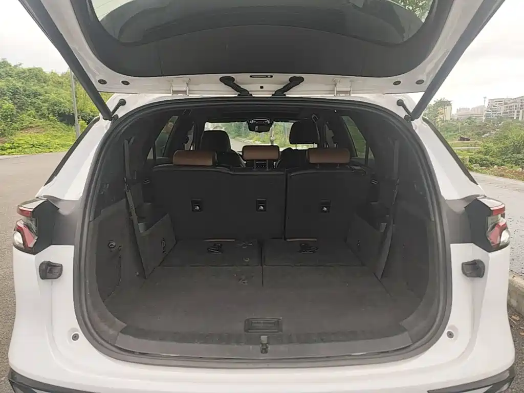 BYD Tang New Energy — миниатюра 19