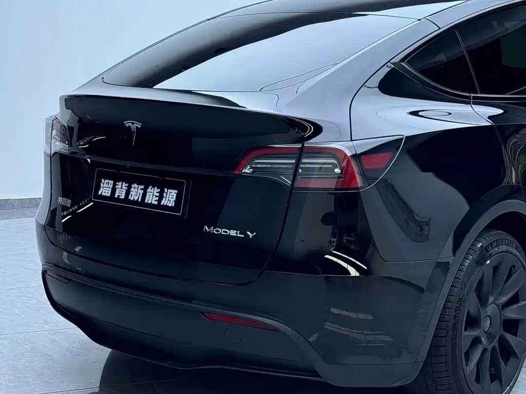 Tesla Model Y — миниатюра 14