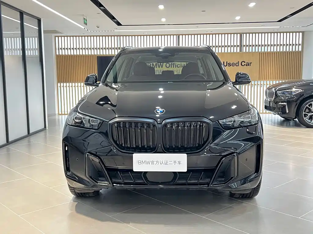 BMW X5 — миниатюра 2