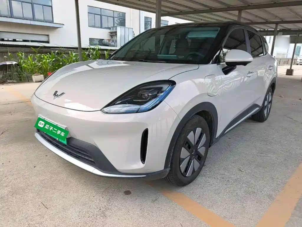 Wuling BinguoS S 2025 325km Premium