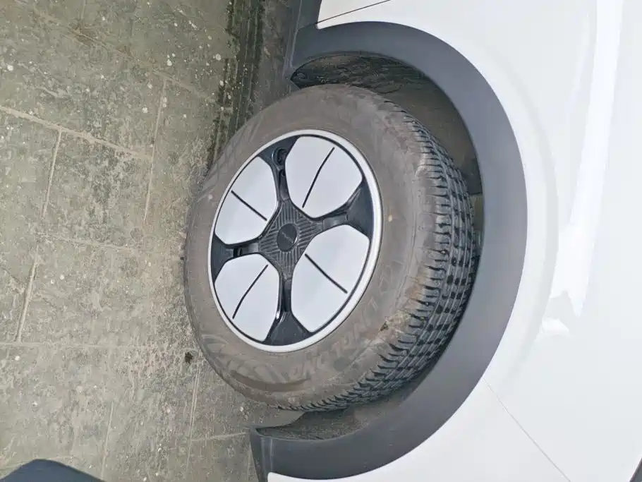 Geely Geome Xingyuan 2025 310km