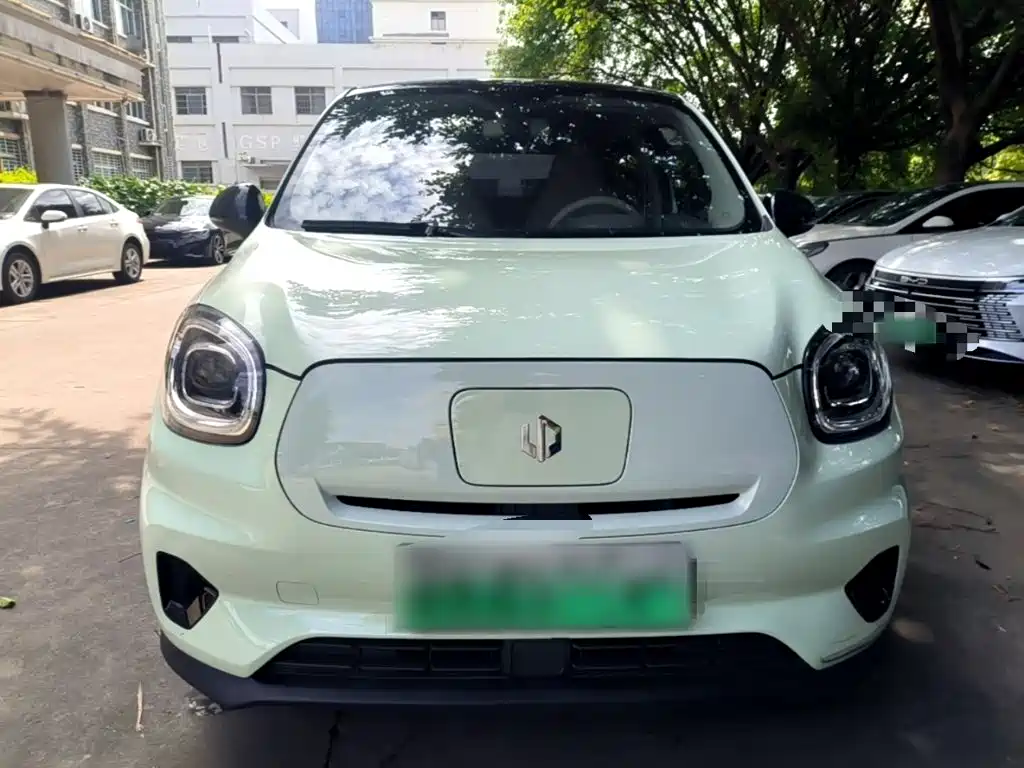 Leapmotor T03 2024 310
