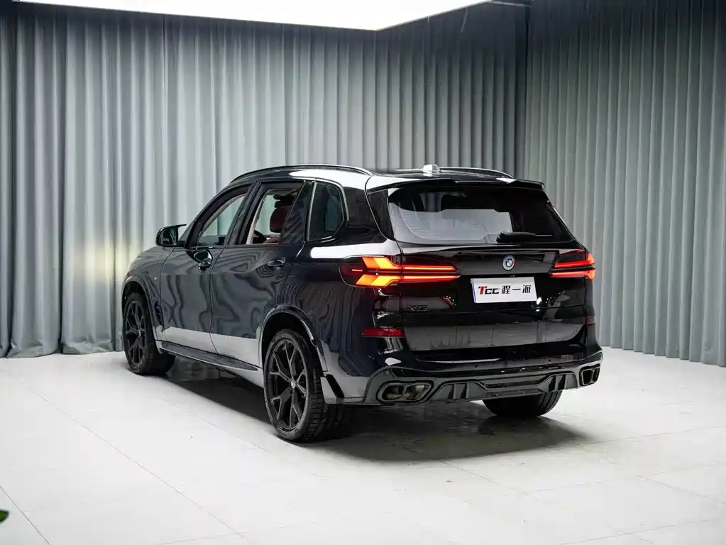 BMW X5 — миниатюра 9