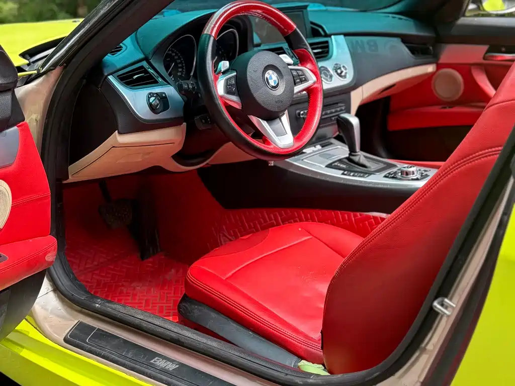 BMW Z4 2009 sDrive23i Lead