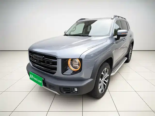 2023 Haval Big Dog