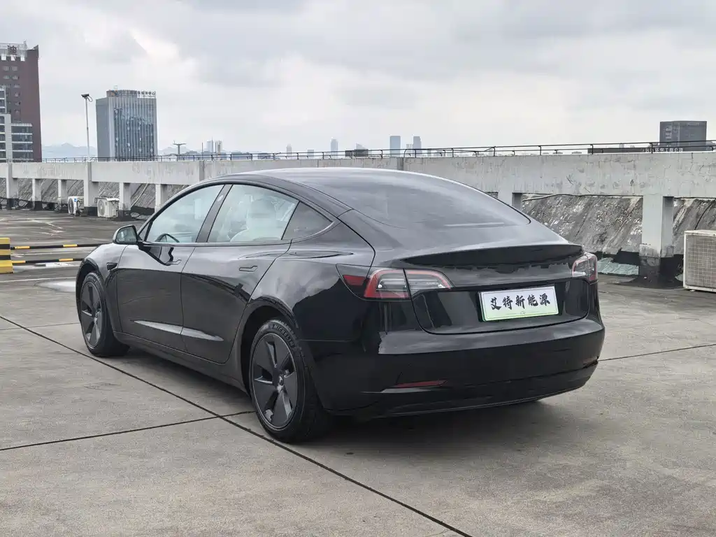 Tesla Model 3 — миниатюра 6