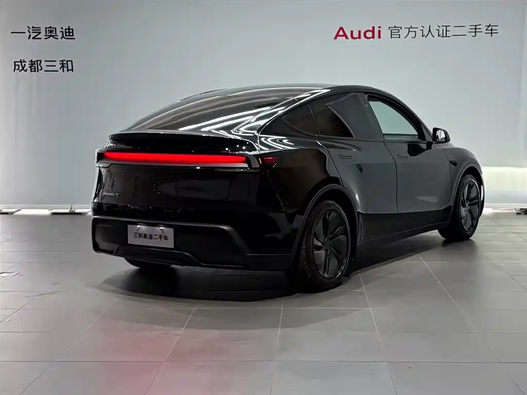 Tesla Model Y — миниатюра 4