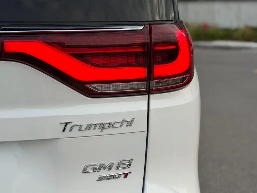 GAC Motor Trumpchi M8 — миниатюра 26