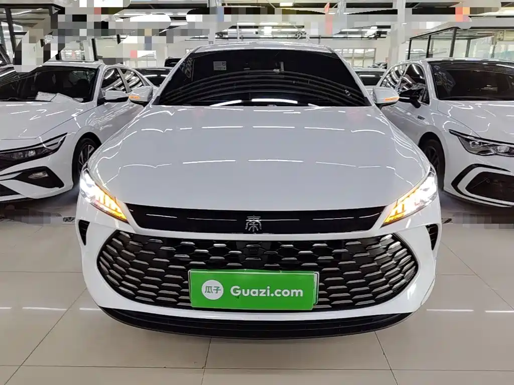 BYD Qin PLUS — миниатюра 3
