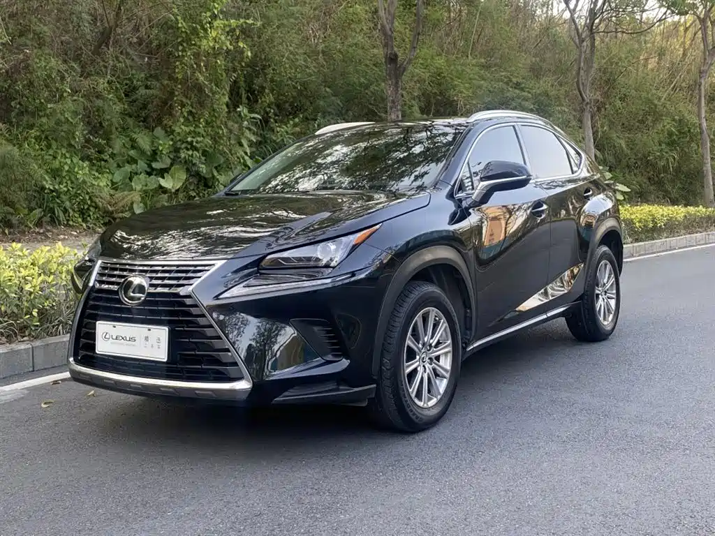 Lexus NX 2018