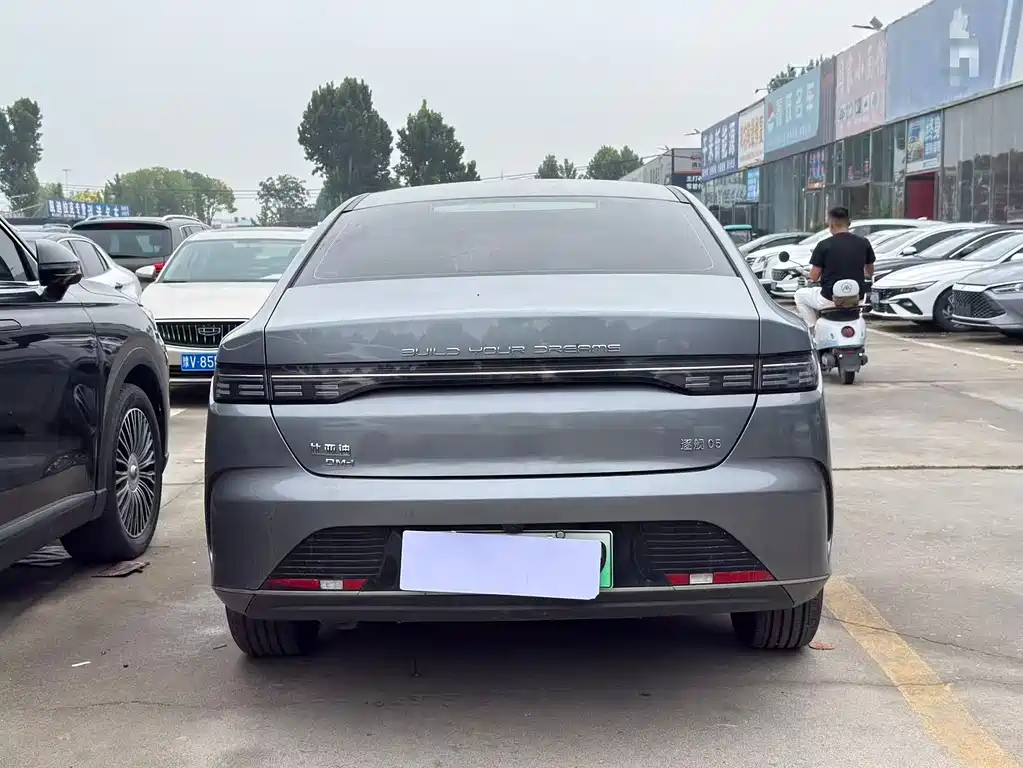 BYD Destroyer 05 2024 DM-i 55KM Luxury