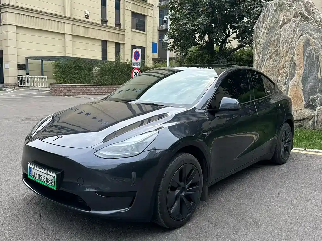 Tesla Model Y — миниатюра 2