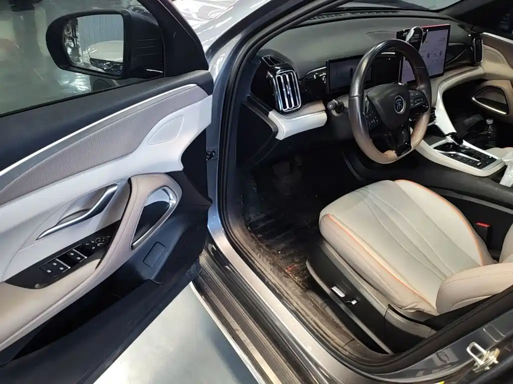 BYD Pro New Energy — миниатюра 16