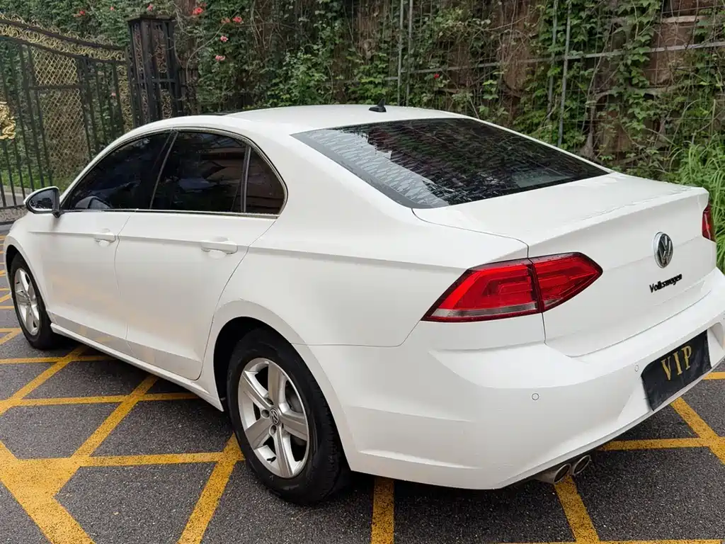 Volkswagen Lamando — миниатюра 9