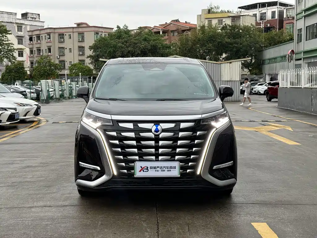 Denza Denza D9 — миниатюра 2