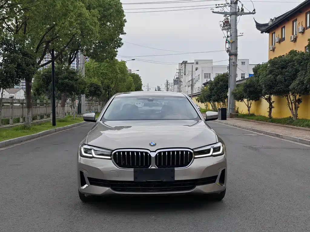 BMW 5 Series 5 2021 530Li Lead Luxury