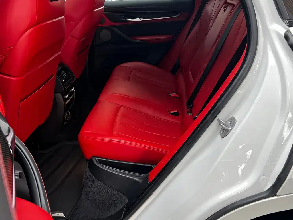 BMW X6 M X6 M, фото 22