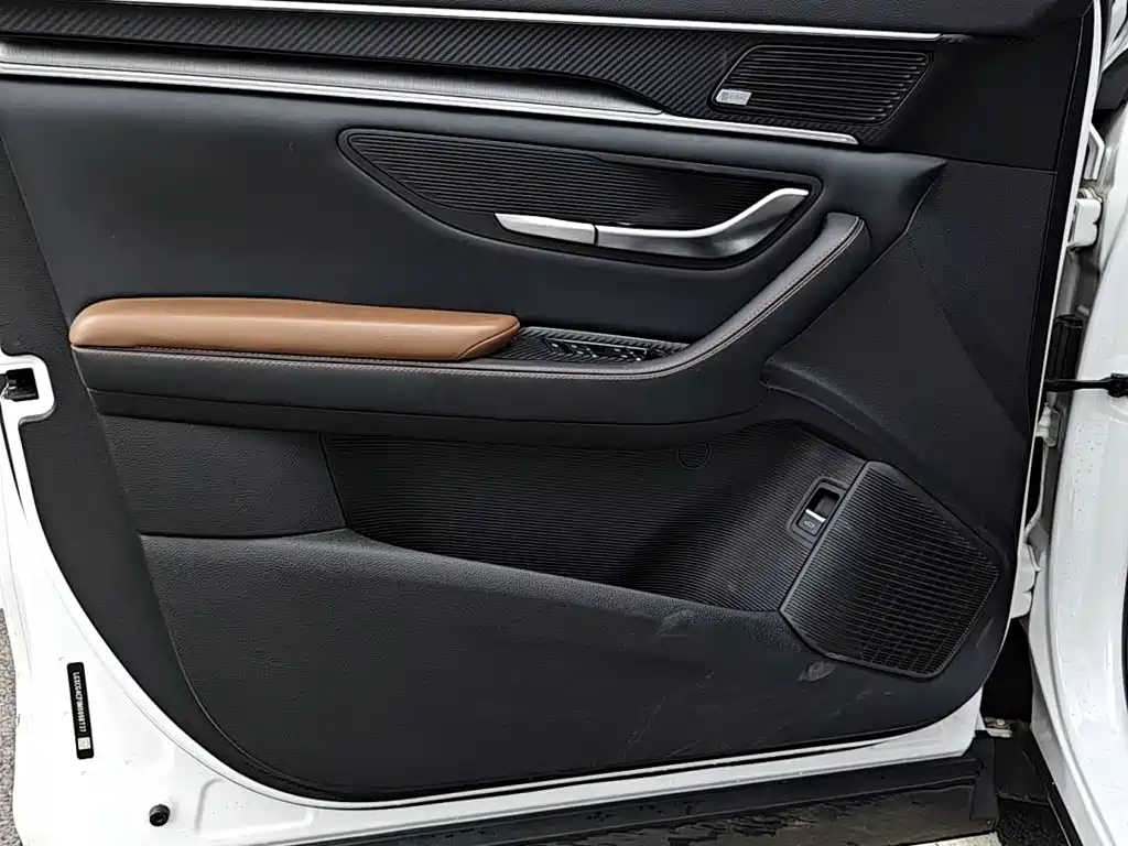 BYD PLUS — миниатюра 5
