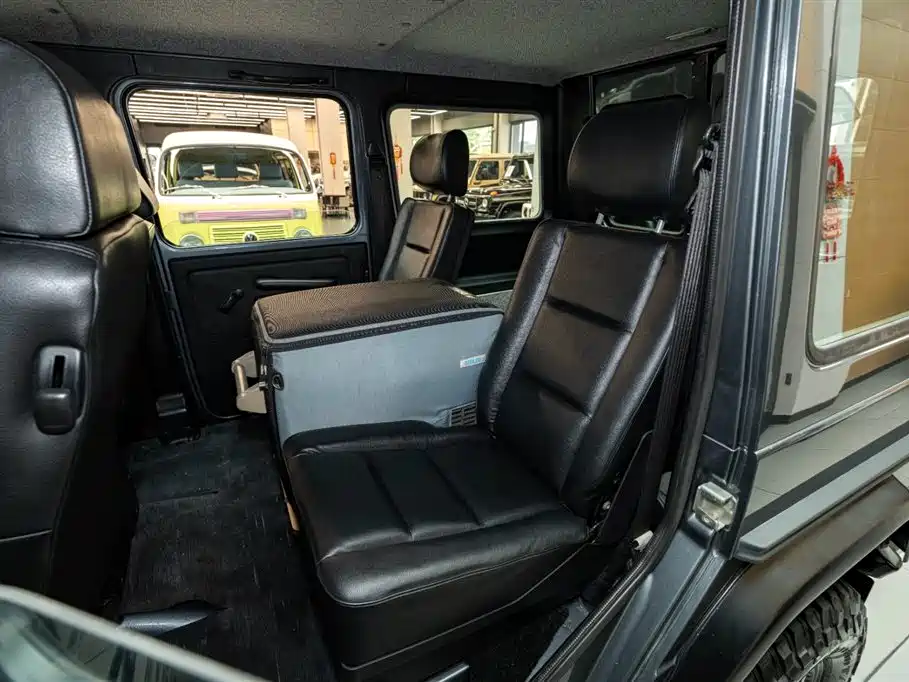 Mercedes-Benz G-Class G 2010 G300P