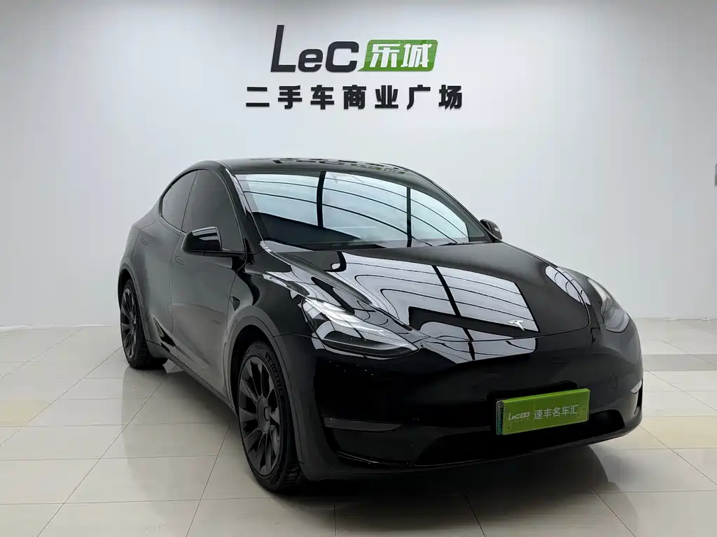 Tesla Model Y — миниатюра 2