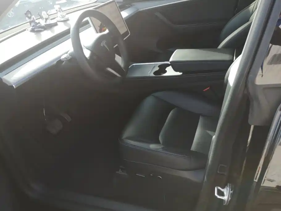 Tesla Model Y — миниатюра 9