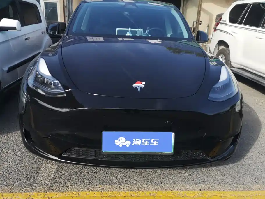 Tesla Model Y — миниатюра 2