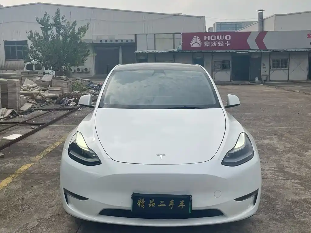 Tesla Model Y — миниатюра 2