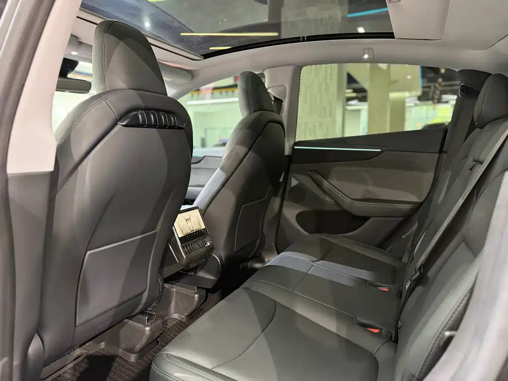Tesla Model Y — миниатюра 6