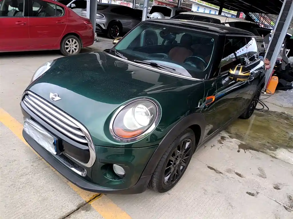 Mini Mini 2015