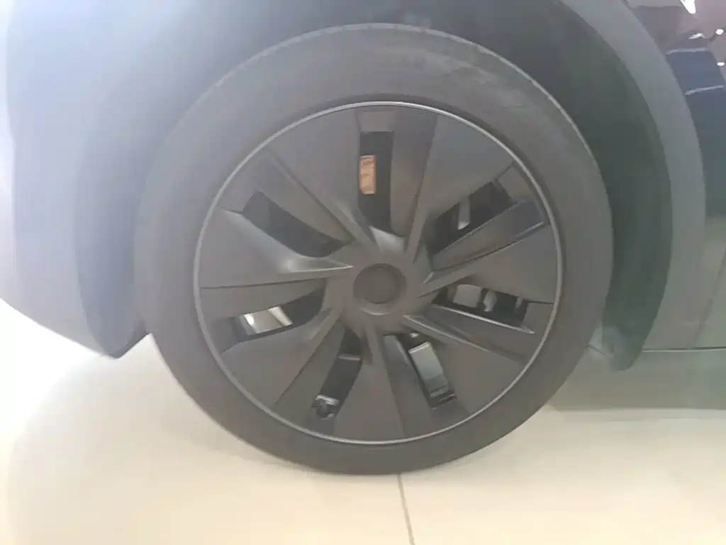 Tesla Model Y — миниатюра 23