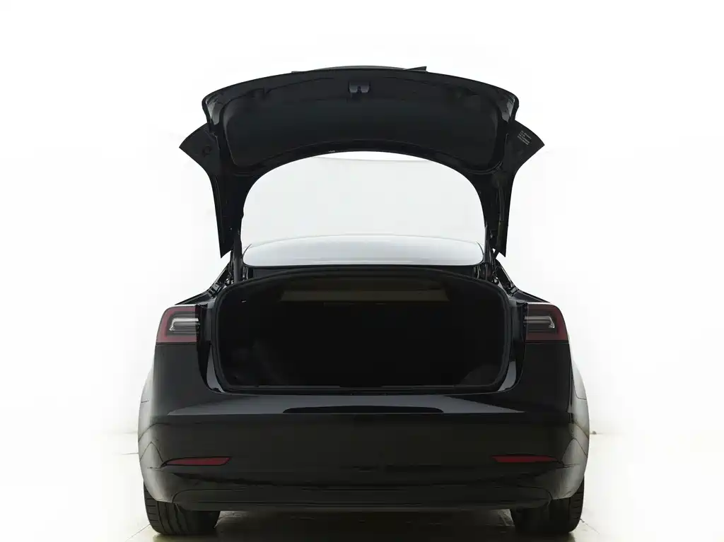 Tesla Model 3 — миниатюра 19