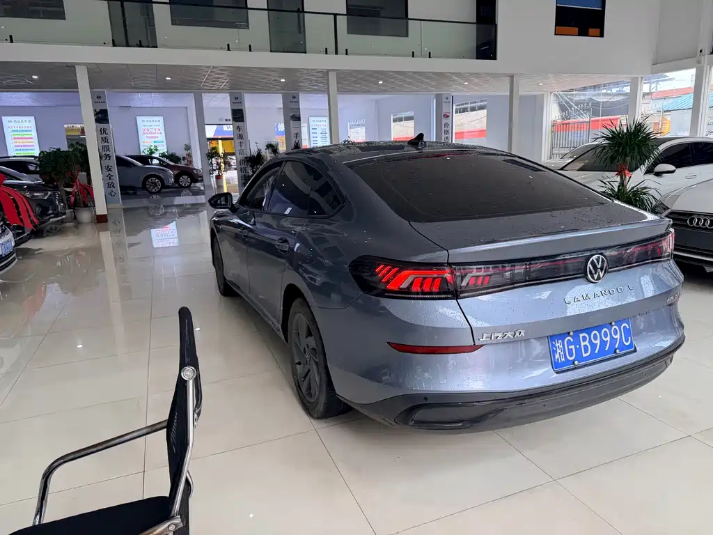 Volkswagen Lamando — миниатюра 6