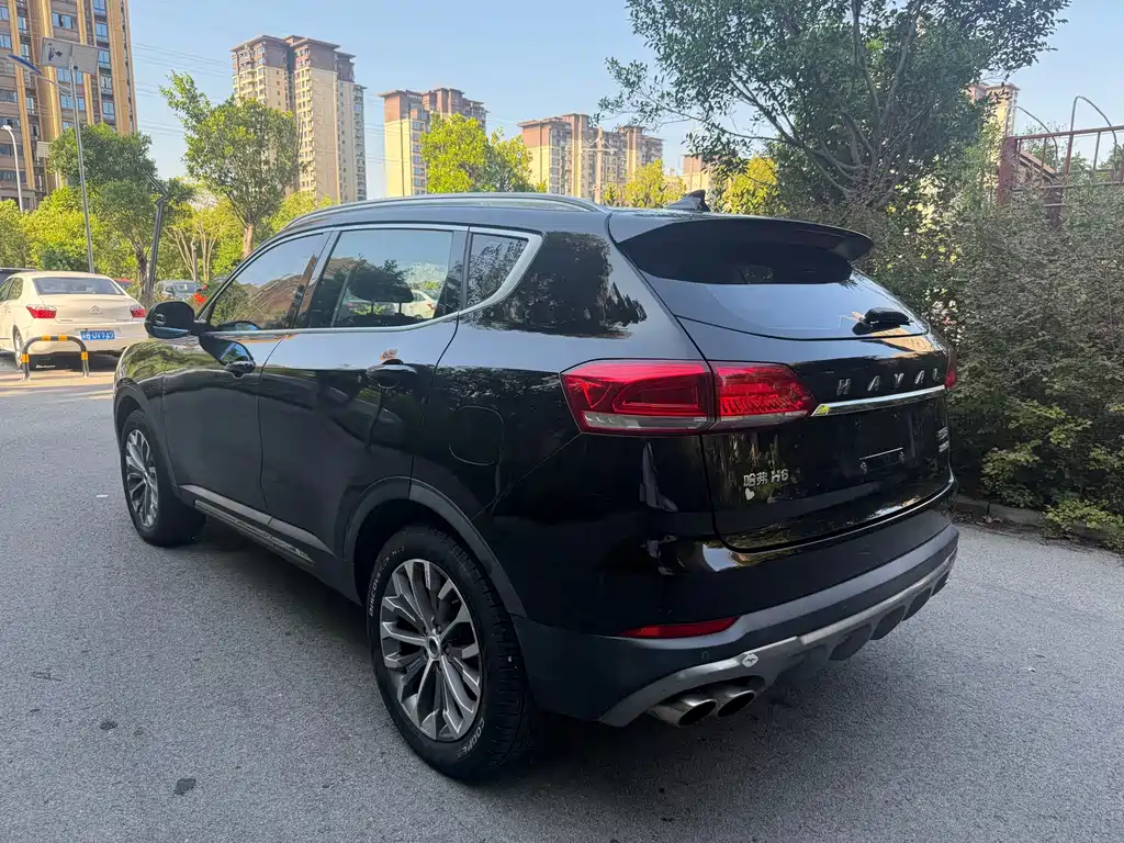 Haval H6 — миниатюра 11